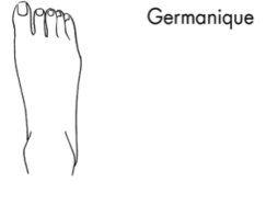 illustration-pied-germanique-stella-rinaldo
